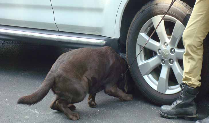 explosive detection dogs nairobi Kenya